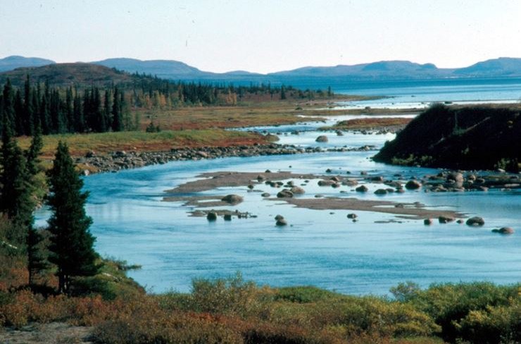 Image of a landscape showing bright blue water and trees