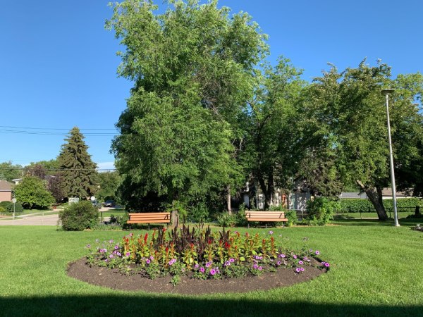 Landscaping with flowers, trees and park benches
