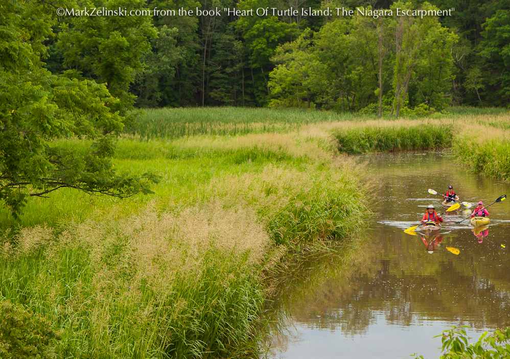Image of a kayak on river surrounded by grass