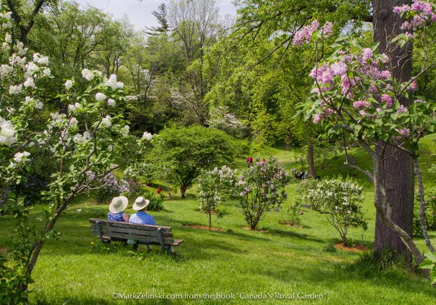 Image of a couple sitting on a bench in a flower garden