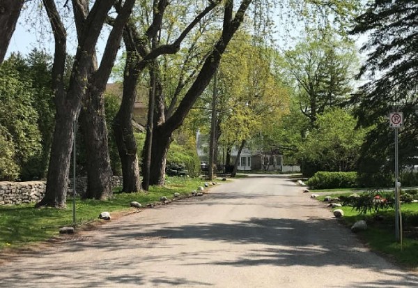 Une allée dans un parc verdoyant