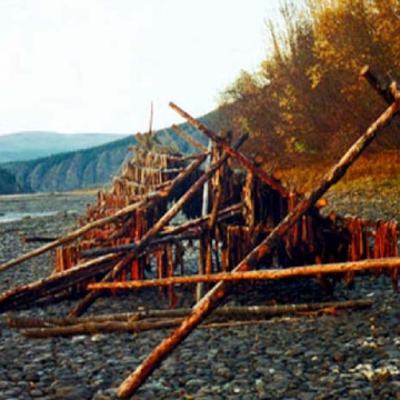 Un support à poisson sur une berge créé par une formation de branches