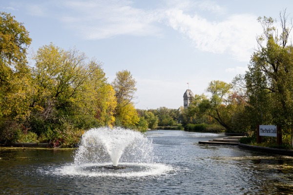 A water fountain in a pond
