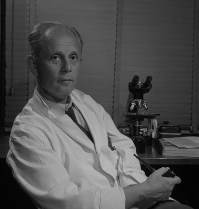 Hans Seyle