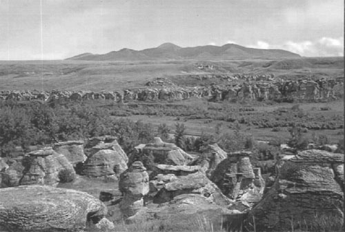 Black and white photo of a park horizon 