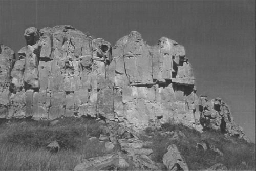 Black and white photo of a park horizon 