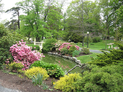 Photo d'un jardin coloré