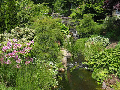 Photo d'un jardin coloré