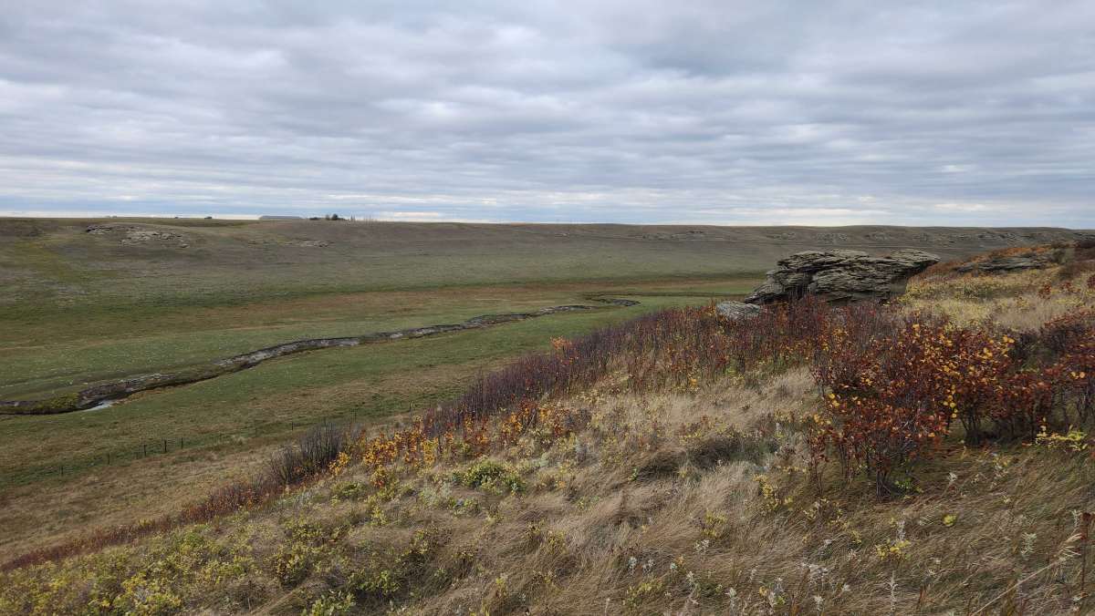 Paysage avec rochers, herbe et collines