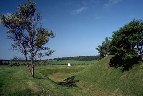 Landscape with grass and trees