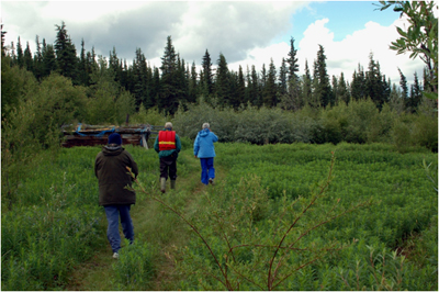 Three persons seen from the back walking in a field surrounded by forest