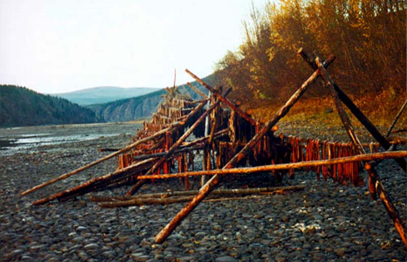 Photo d'un support à poisson sur une berge créé par une formation de branches