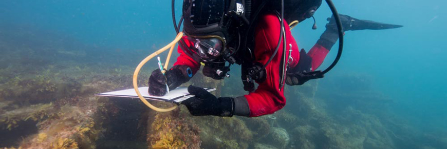 Diver in cold-water gear makes annotations on clipboard above wreck.