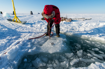 Archaeologist in red parka bends over frozen sea to drill hole in thick ice.
