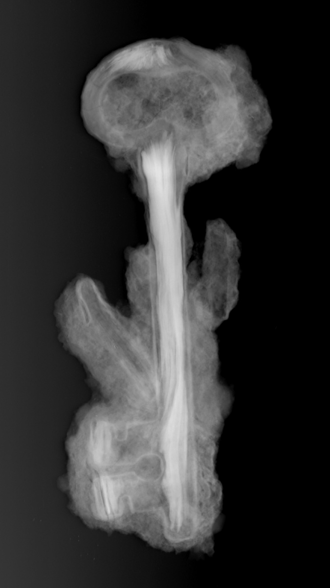 An X-ray of a rusty key; the metal is visible beneath the rust, which appears paler than the rest