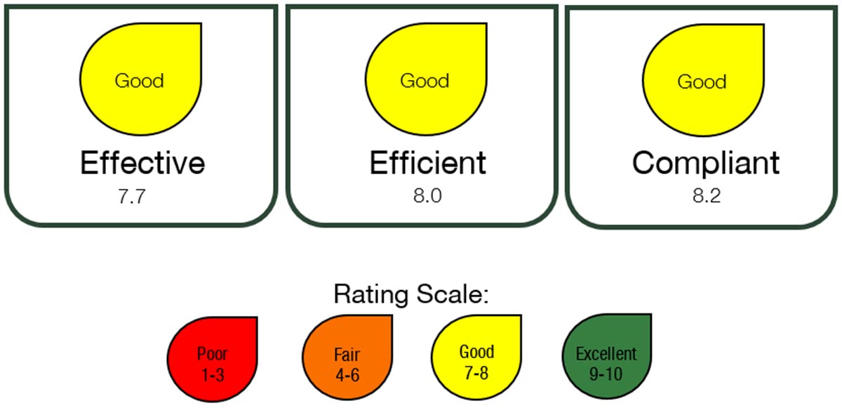 Representation of the results of the 2020-2021 annual assessment and its respective rating scale. Image description follows.