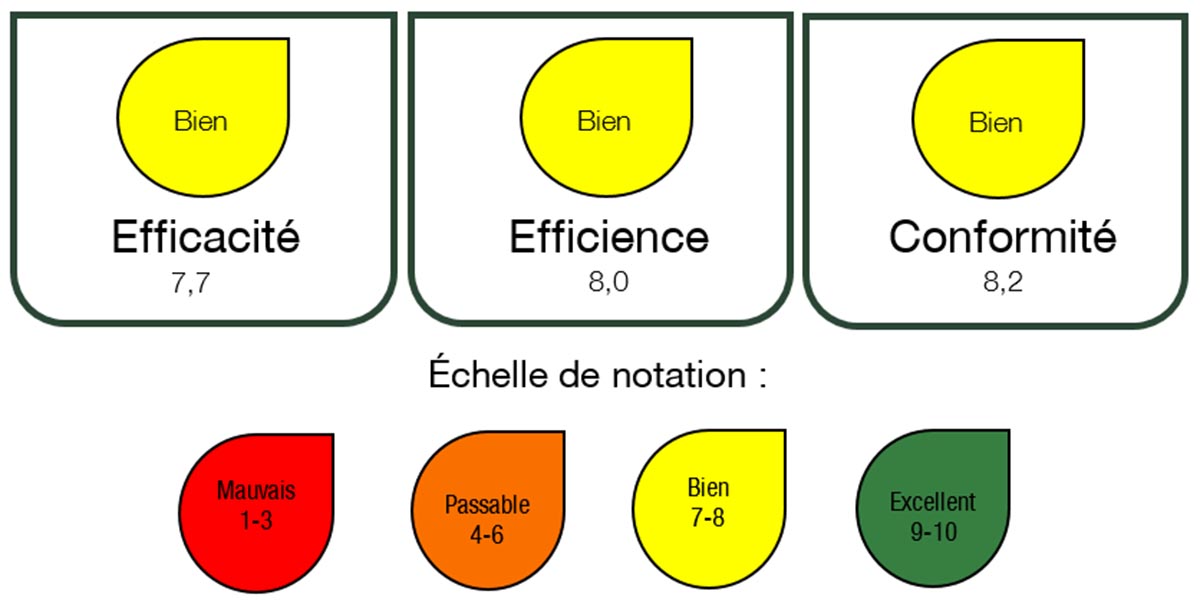 Représentation des résultats de l'évaluation annuelle 2020-2021 et de son échelle de notation respective. La description de l'image suit.