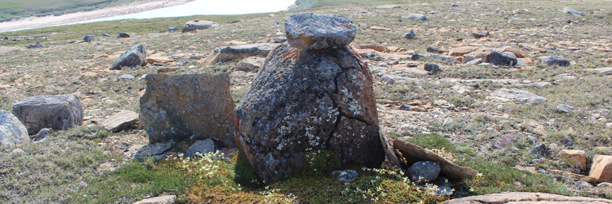 A rock-strewn tundra with a river in the background.