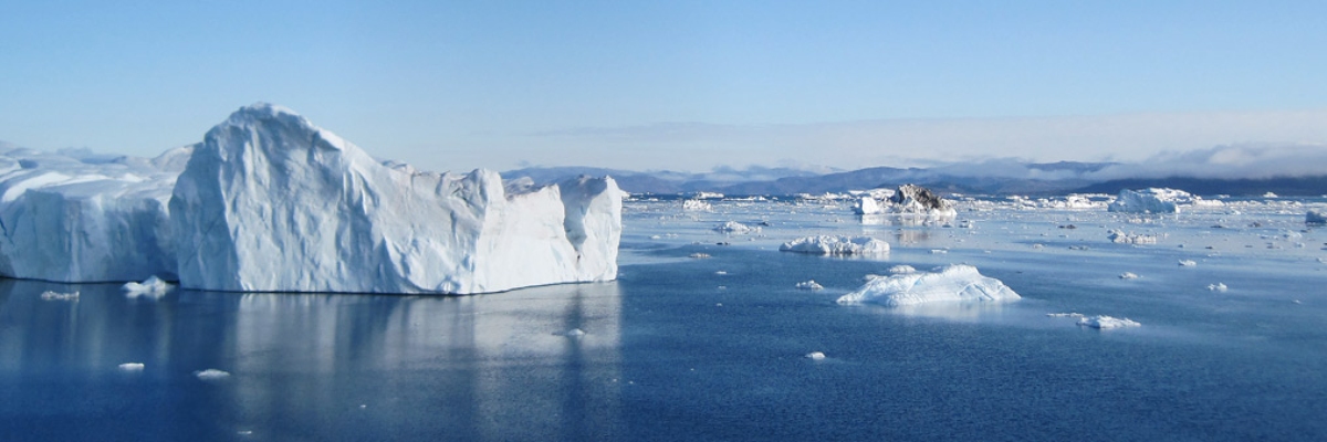 Paysage arctique en plein océan, parsemé de grands icebergs.