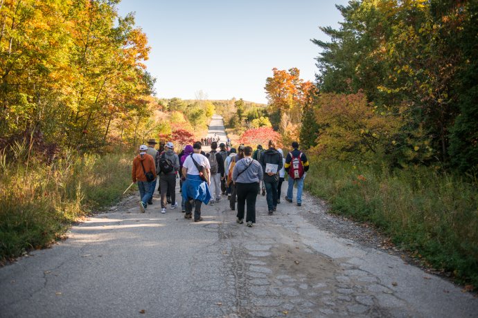 A large group of people walk along a paved path through a forested area in autumn.