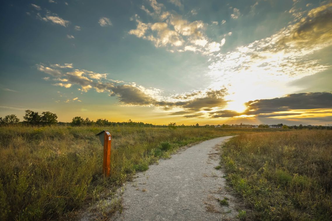 Un chemin de gravier entouré de champs herbeux s’étend au loin au coucher du soleil.