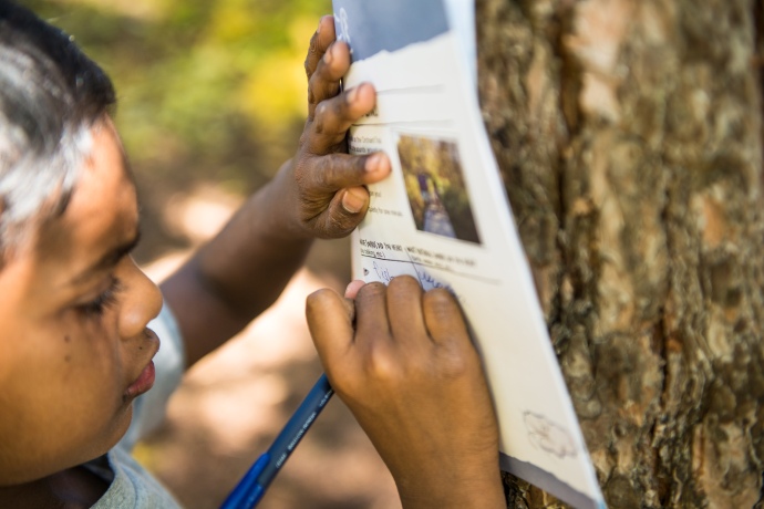 A close up of a child holding a piece of paper against a tree while using his pencil to fill out information.