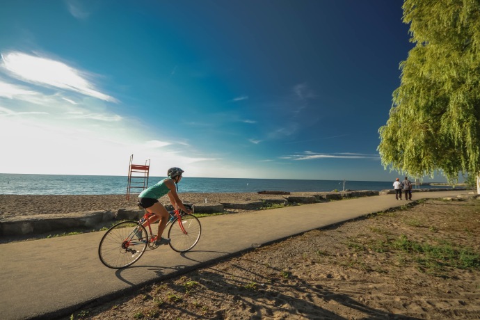 A person rides a bicycle on a paved path along the shores of a sandy beach with trees in the summertime.