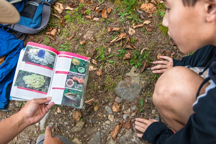 Gros plan d’un enfant agenouillé sur le sol parmi des feuilles, des cailloux et des champignons, alors qu’il regarde un guide tenu par une autre personne.