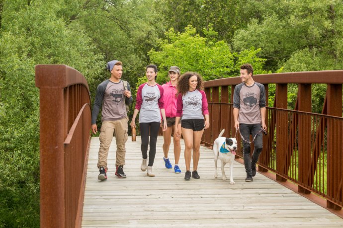 A group of five young people and a dog walk together while crossing over a bridge made of wood and steel.