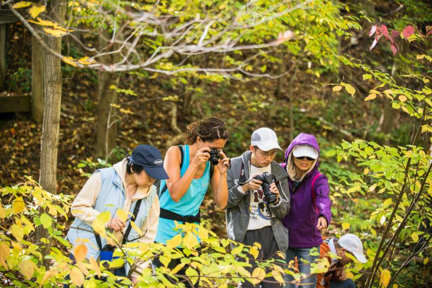 Five people in the forest look attentively at the ground. Two people have their cameras ready.