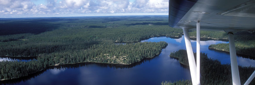 Aerial view of rivers and forest seen from a small airplane.