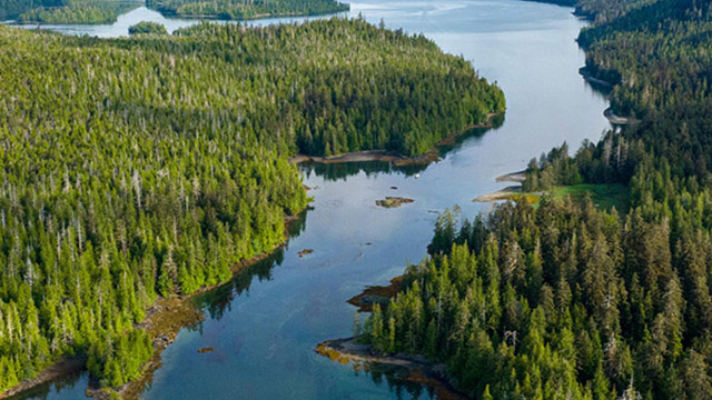 A narrow, shallow ocean channel, dotted with small islands, cuts between dense forests that roll down low mountains to the shores.