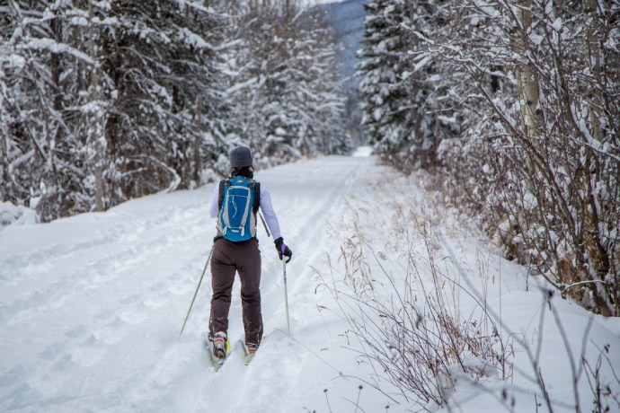 A solo cross country skier uses a trodden path that cuts through the forest.