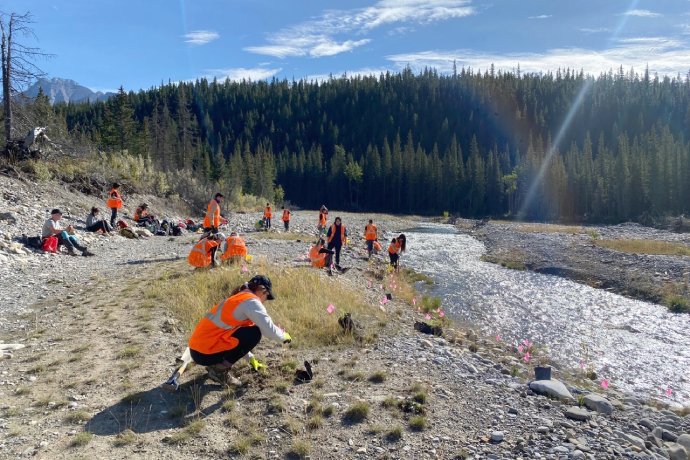 Over a dozen volunteers work along a stream surrounded by mountains.