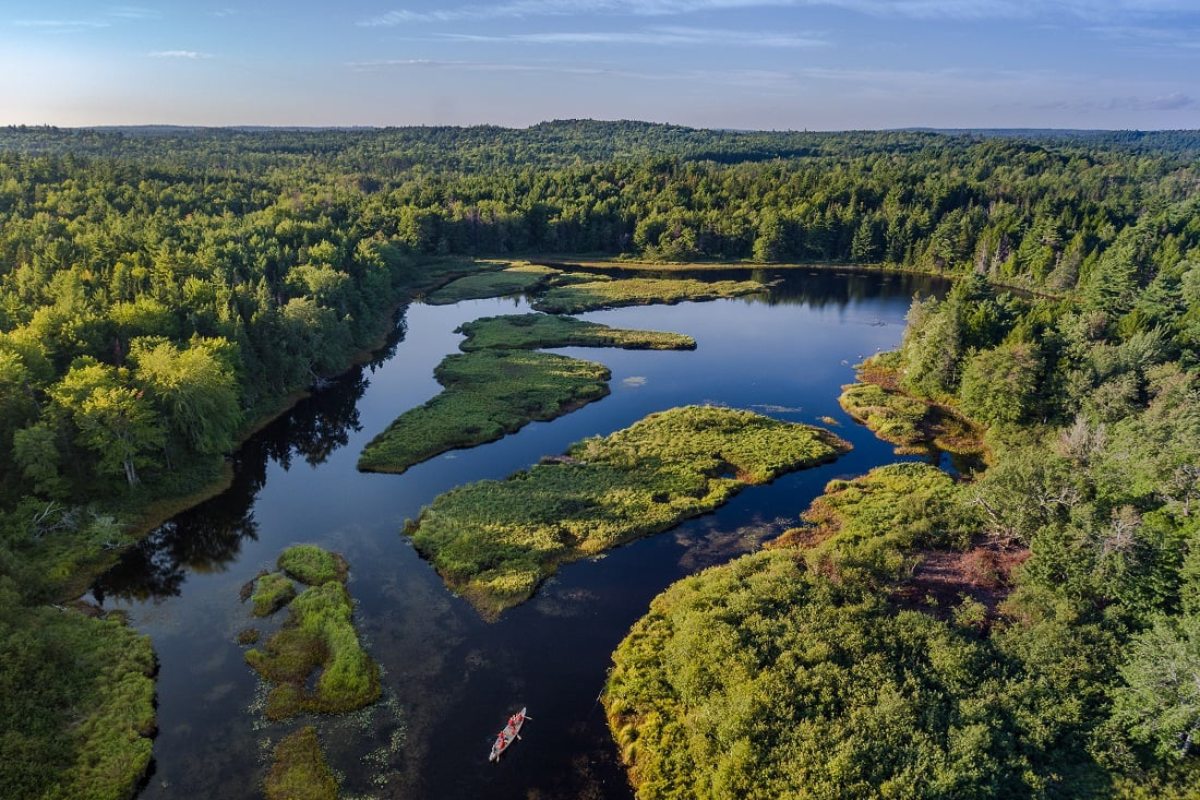 Vue aérienne d’un vaste écosystème forestier avec un grand lac et des îles.