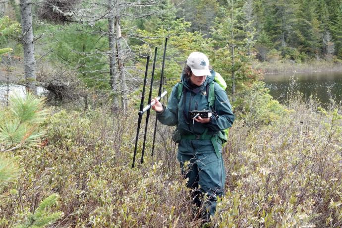 Une employée de Parcs Canada est debout dans la forêt et tient un récepteur télémétrique.