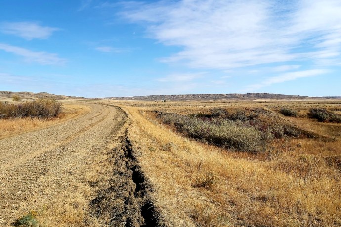 Disturbed soil lines a dirt road traveling through a golden grassy landscape.