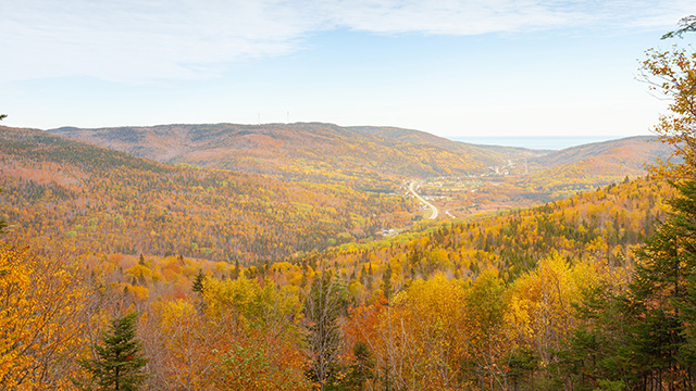 Overhead view of a portion of the Forillon Corridor between the national park, the road and the adjacent lands.