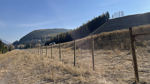Lateral view of a long wildlife fence alongside a higway with traffic