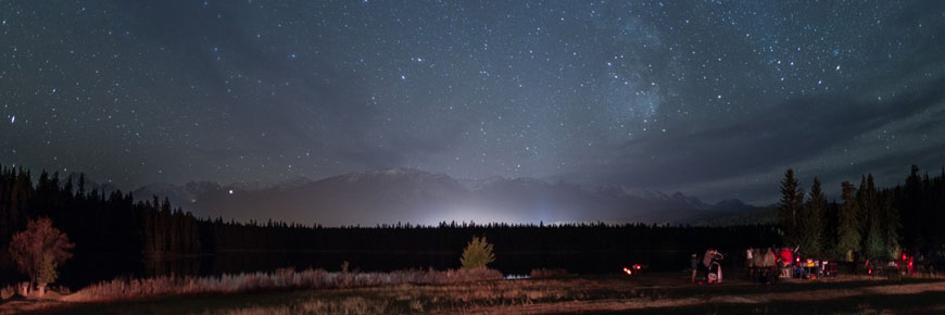 La voie lactée avec la silhouette des arbres à l'horizon