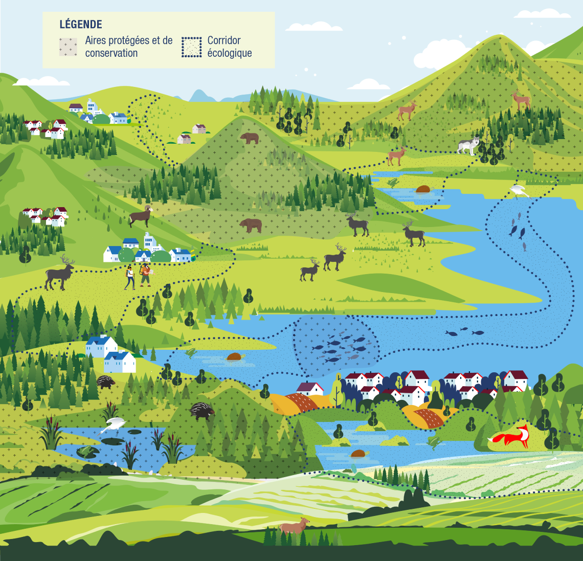 Une illustration montre un paysage de montagnes, de parcelles éparses de forêt mixte et de lacs sous un ciel bleu clair.