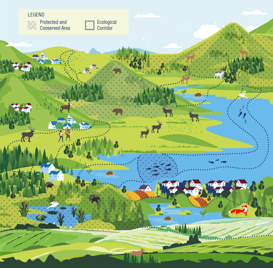 An illustration shows a landscape of mountains, scattered mixed-forest patches, and lakes under a light blue sky
