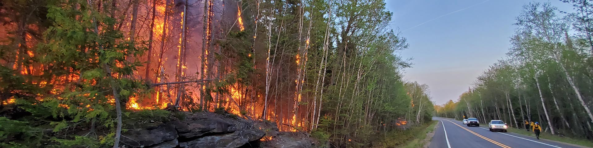 Fire burns next to the road during the Lac Modène prescribed fire in La Mauricie National Park. Fire crew members are pictured in the distance.