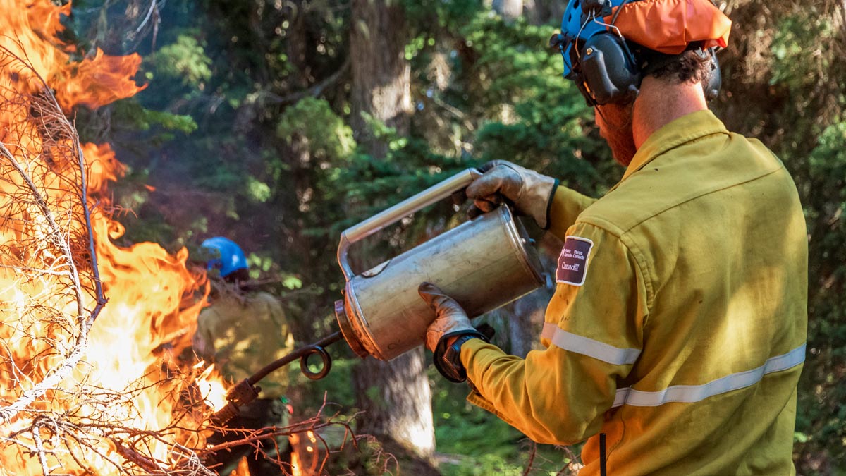 Un membre d’une équipe de pompiers brûle un tas de débris de bois à l’aide d’un brûleur à gravité portatif dans le cadre de travaux de réduction des risques de feux de forêt.