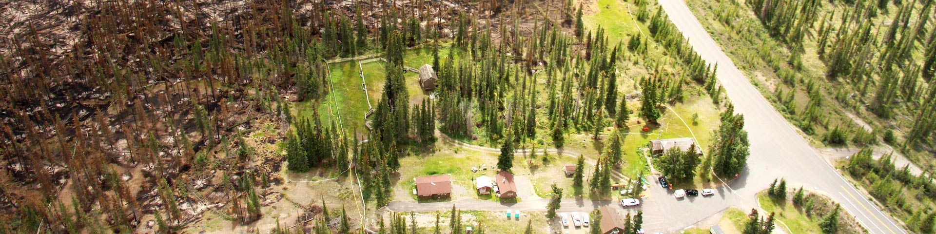 A striking image showing burnt trees adjacent to the Saskatchewan Crossing warden cabins. The warden cabins were protected using structural protection equipment and forest thinning prior to prescribed fire operations.