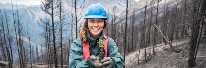 A woman in a hardhat holding a seedling to the camera.