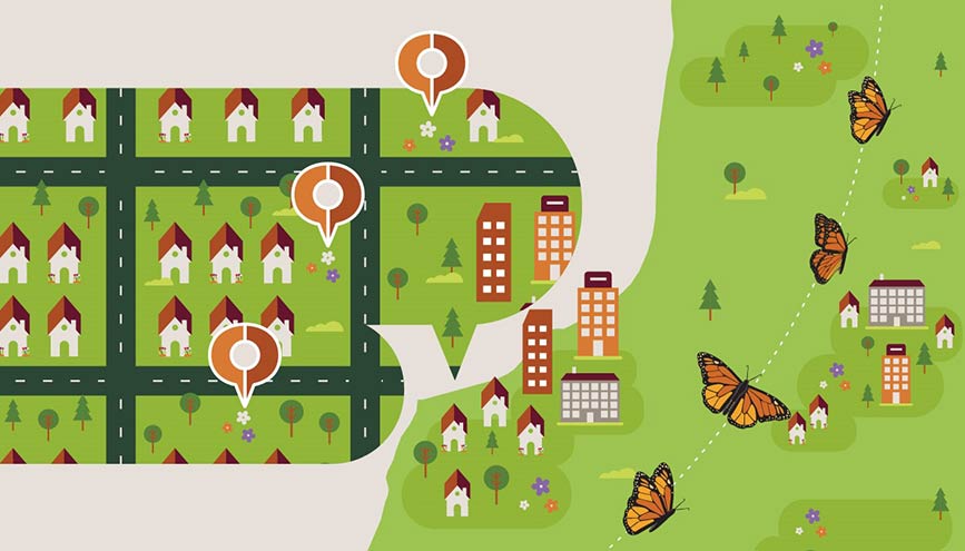 A graphic showing a monarch butterfly’s journey through Southern Ontario and the importance of habitat stepping stones.