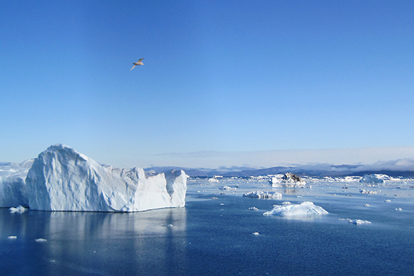 Des icebergs flottant sur un plan d’eau nordique