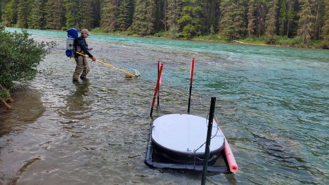 A Parks Canada staff person uses a long rod and tubing attached to their special backpack in the water. A large round container is in the water next to them.