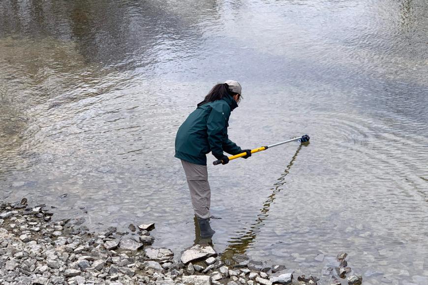 A Parks Canada employee holds a long rod into shallow water from the shore.